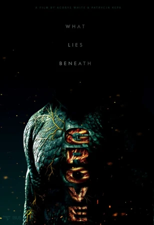 Роща в hd качестве