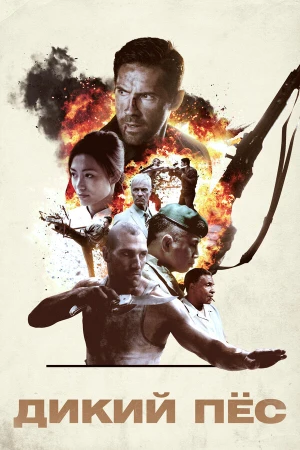 Дикий пёс в hd качестве