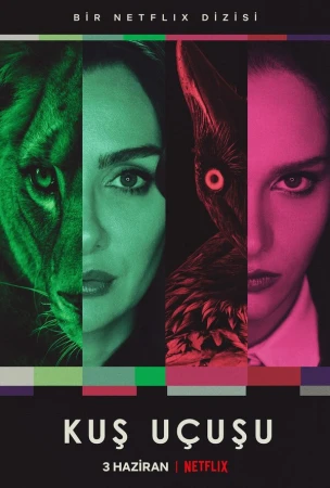 Полёт птицы в hd качестве