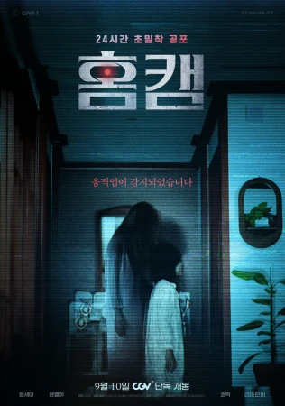 Домашняя камера в hd качестве