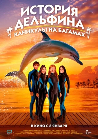 История дельфина: Каникулы на Багамах в hd качестве