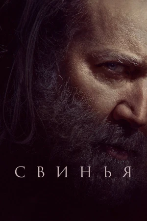 Свинья в hd качестве