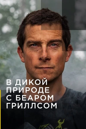 В дикой природе с Беаром Гриллсом в hd качестве