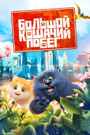 Большой кошачий побег в hd качестве