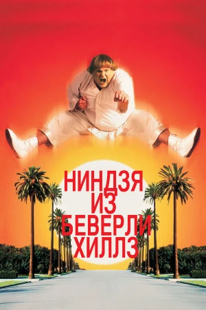 Ниндзя из Беверли Хиллз в hd качестве