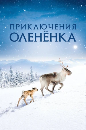 Приключения оленёнка в hd качестве