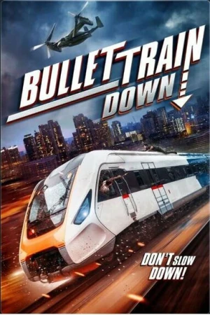 Крушение скоростного поезда в hd качестве