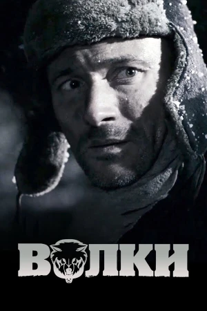 Волки в hd качестве