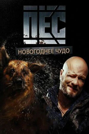 Новогодний пёс в hd качестве