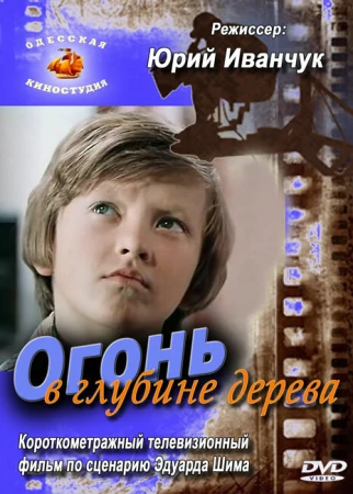 Огонь в глубине дерева в hd качестве