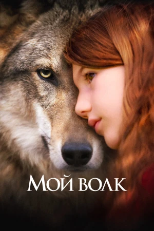 Мой волк в hd качестве