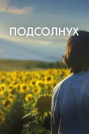 Подсолнух в hd качестве