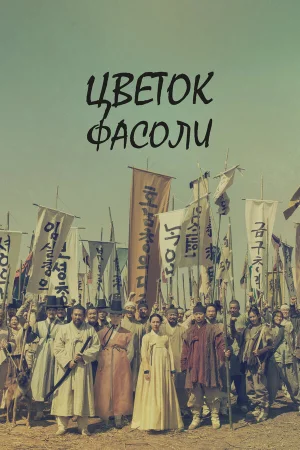 Цветок фасоли в hd качестве