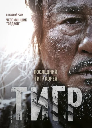 Тигр в hd качестве