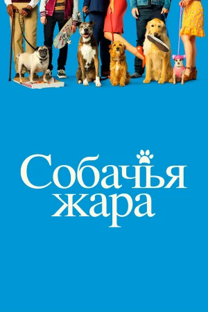 Собачьи дни в hd качестве